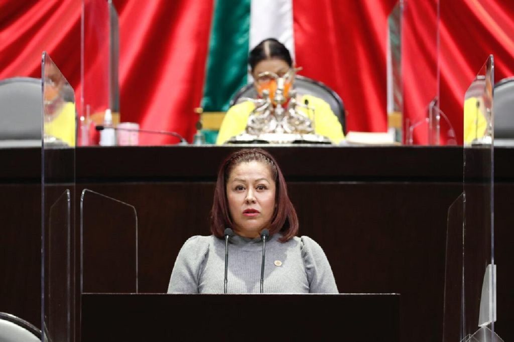 Diputada-del-PES-alt