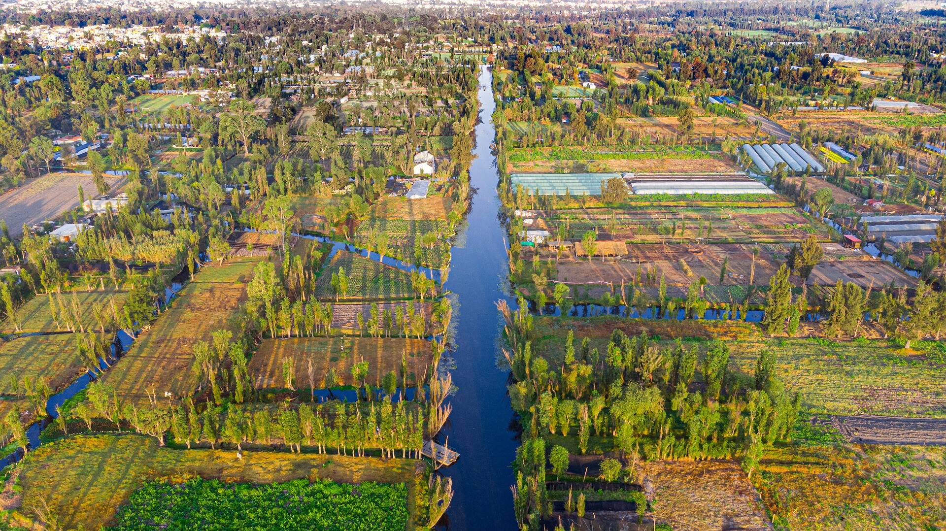 Parque-ecológico-xochimilco-alt