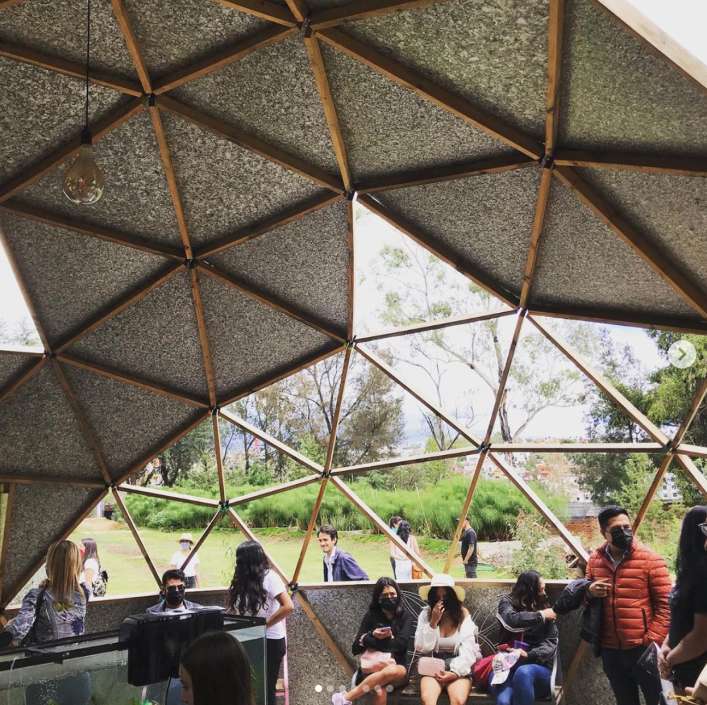 axolotitlan-se-convertira-en-el-primer-museo-nacional-del-ajolote-en-cdmx-4-alt