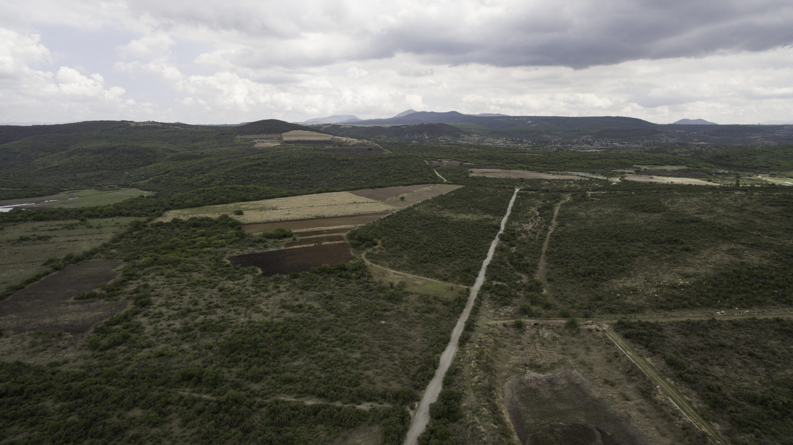 inmobiliaria-ejidal-queretaro-alt