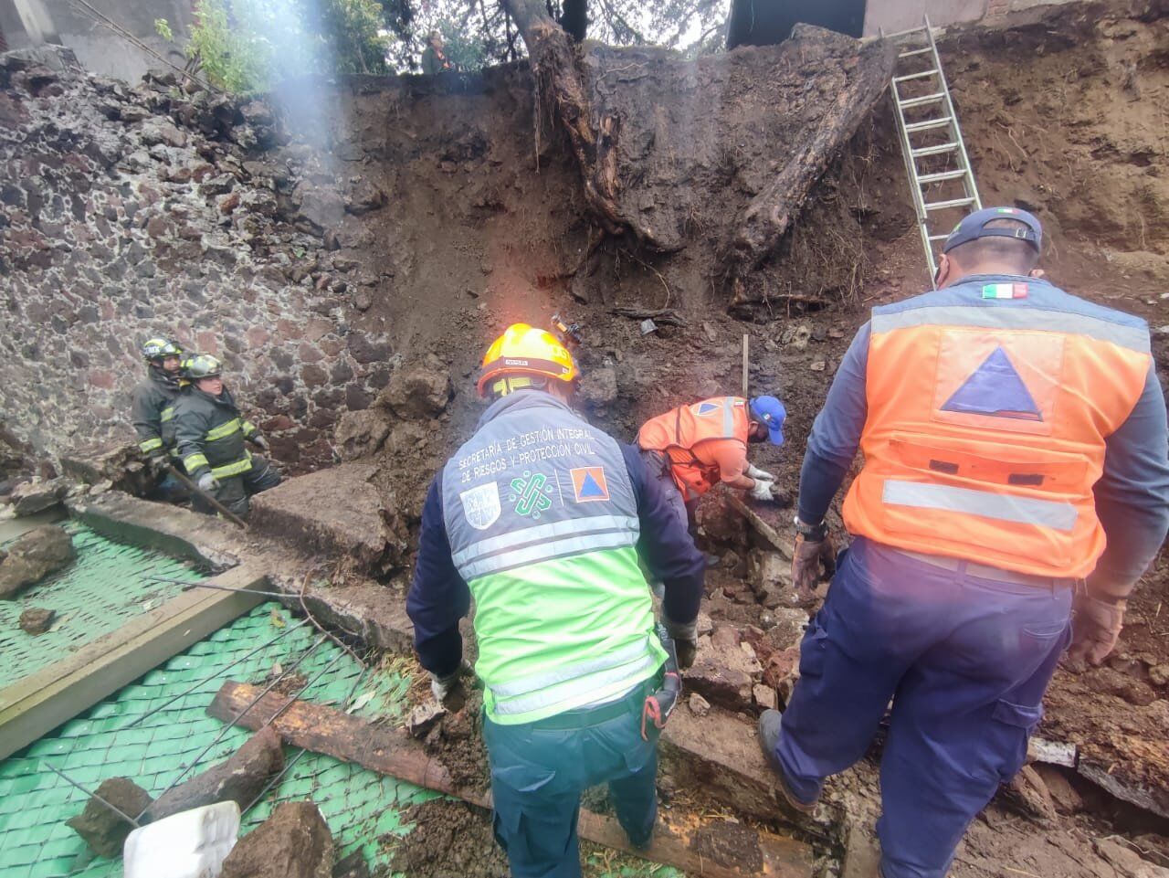 albergue_para_perros_alt