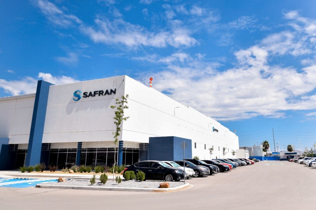 Safran_Chihuahua_alt