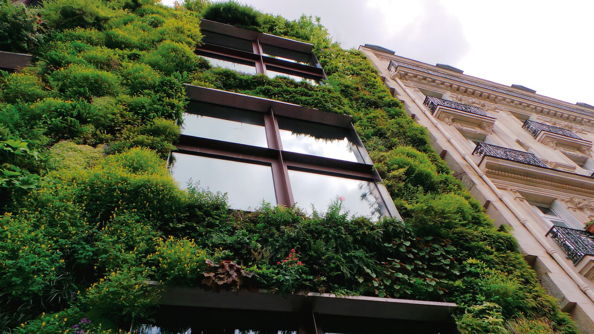 Edificios industriales quieren ser verdes