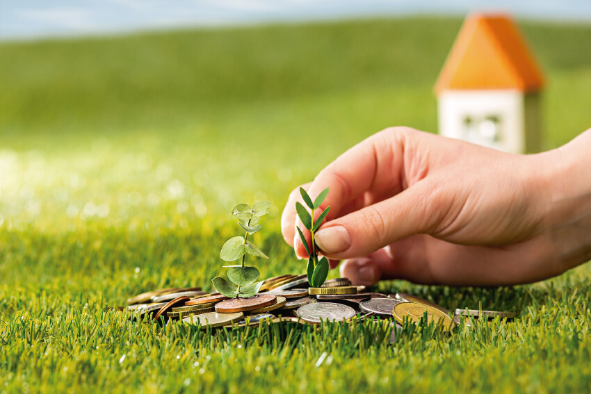 Situación actual de la vivienda abandonada