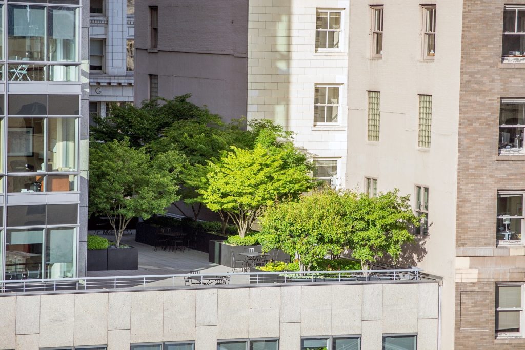 Concurso de Arquitectura y Urbanismo-alt