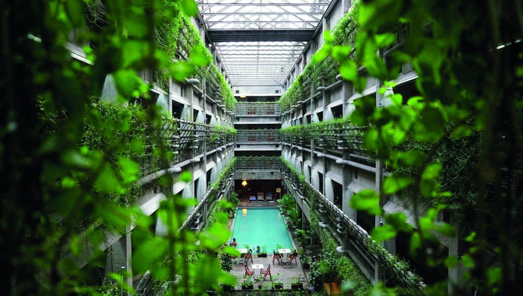 bioconstrucción-alt