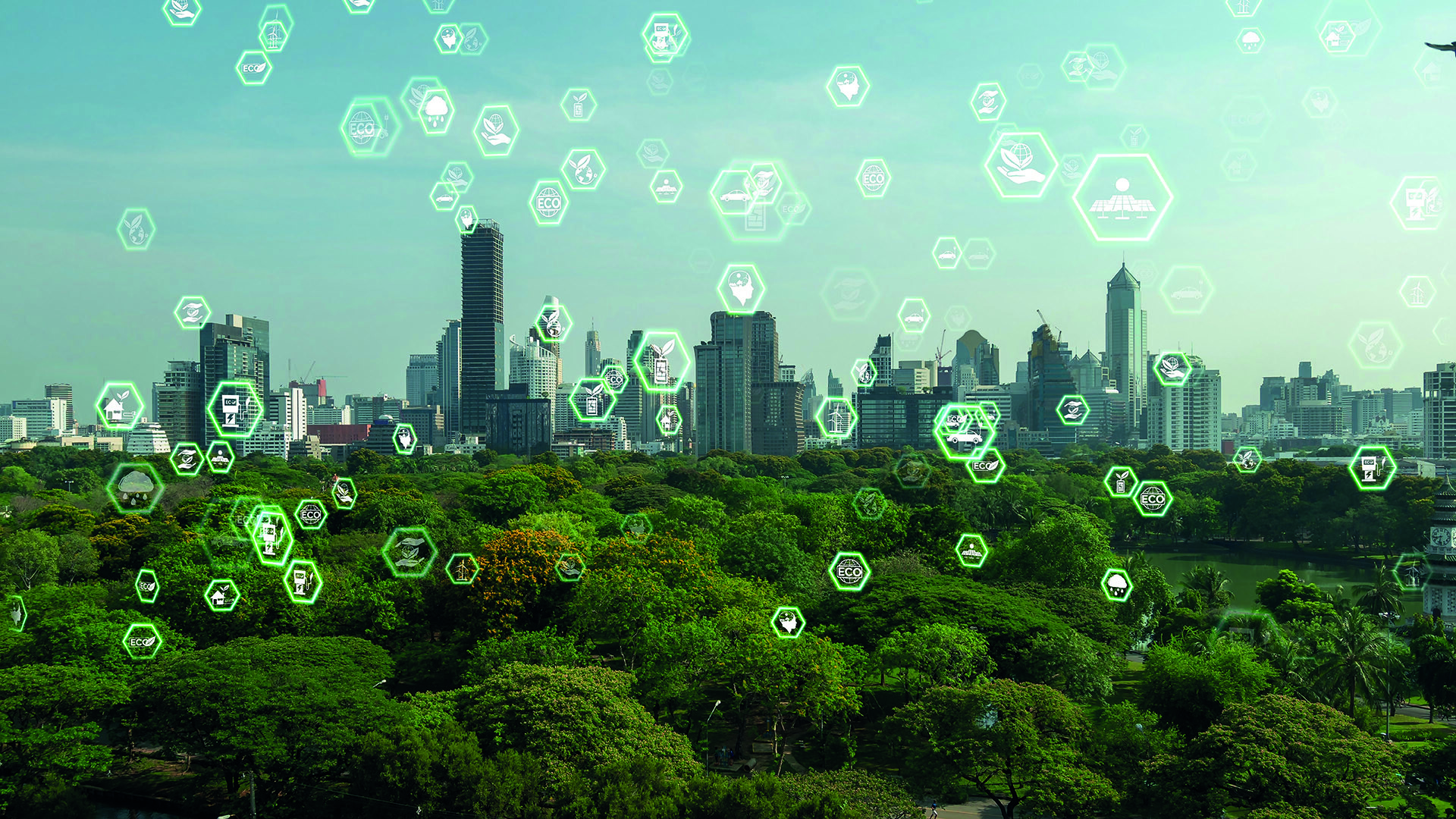 El punto de inflexión de la sustentabilidad: La demanda de los clientes