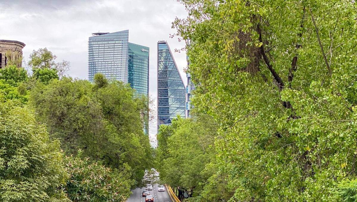 gentrificacion-cdmx-2-alt