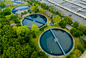 parque-biocombustible-2