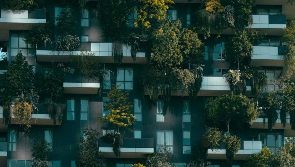 net-zero-edificios-alt