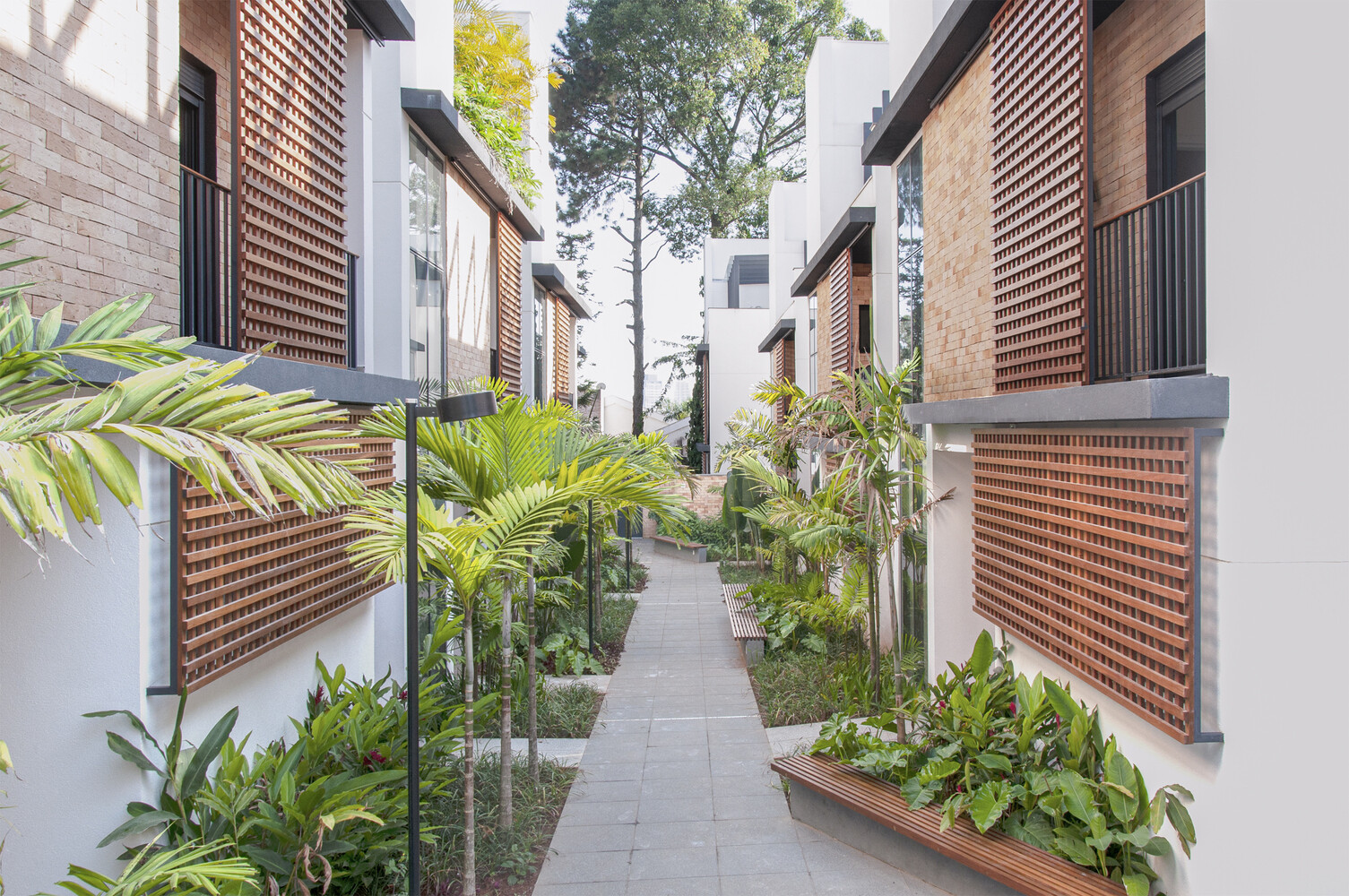 Bienal Paisaje-2024-alt