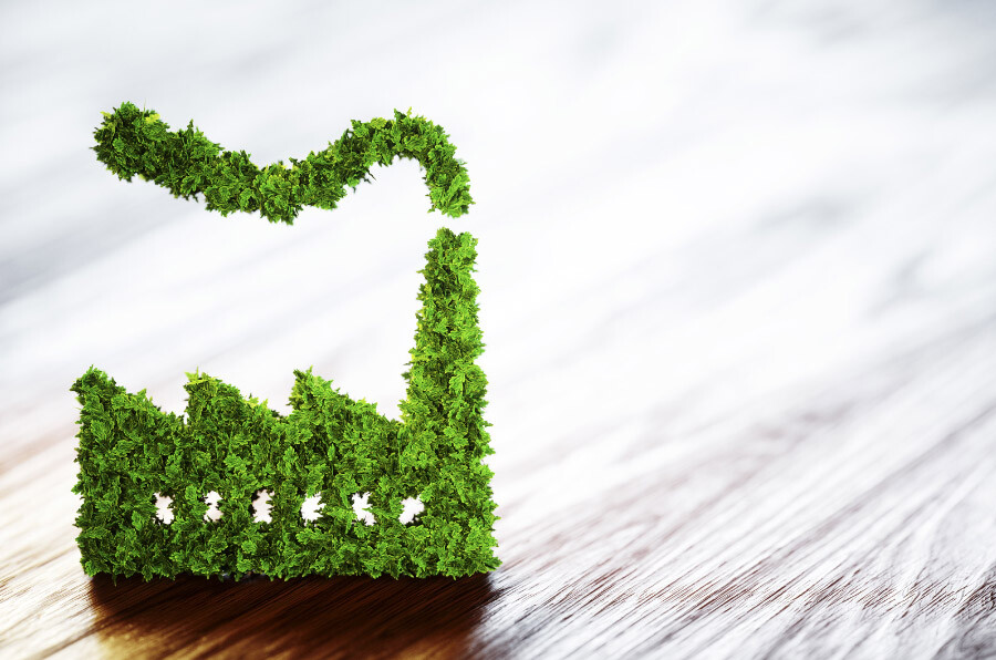 Día Mundial del Medio Ambiente-3