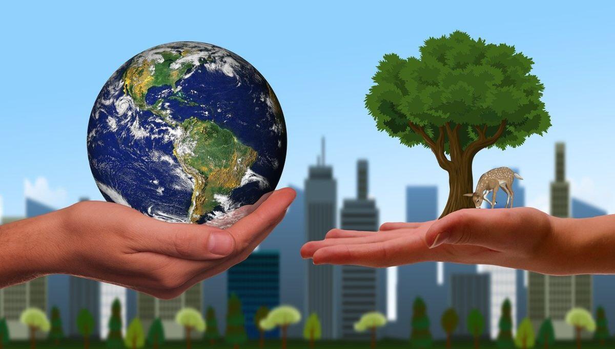 certificacion-sustentable-2-alt