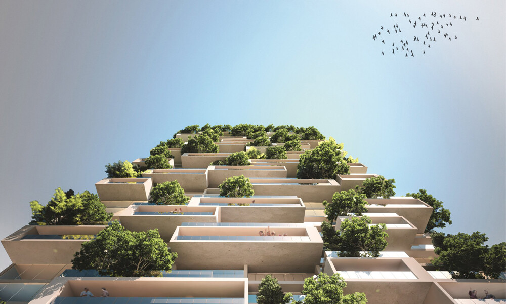 desertificación-arq-4