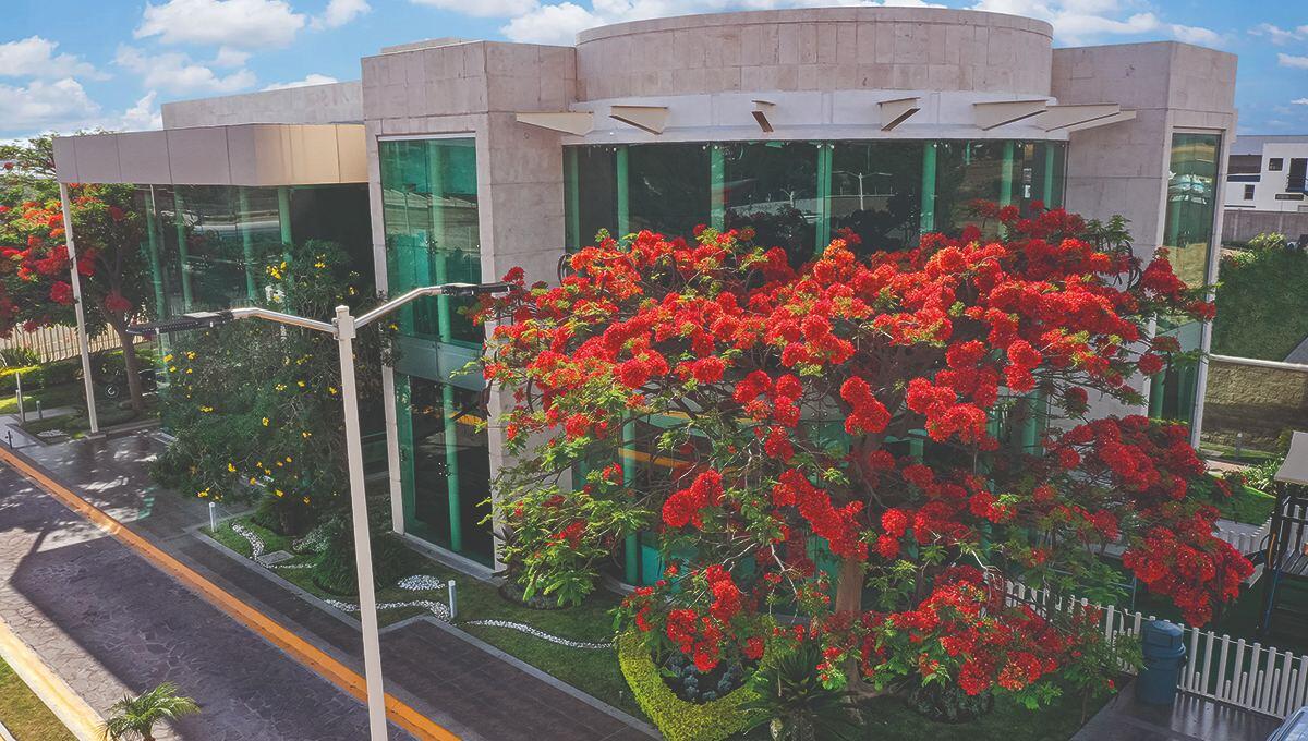 Grupo SI NOW: Impulsando la expansión industrial y el Mexshoring en México