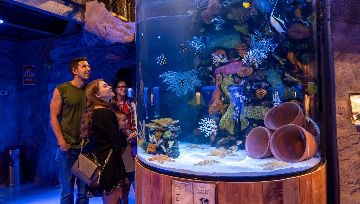 Nuevo León tendrá el primer acuario inmersivo: Sealand Monterrey