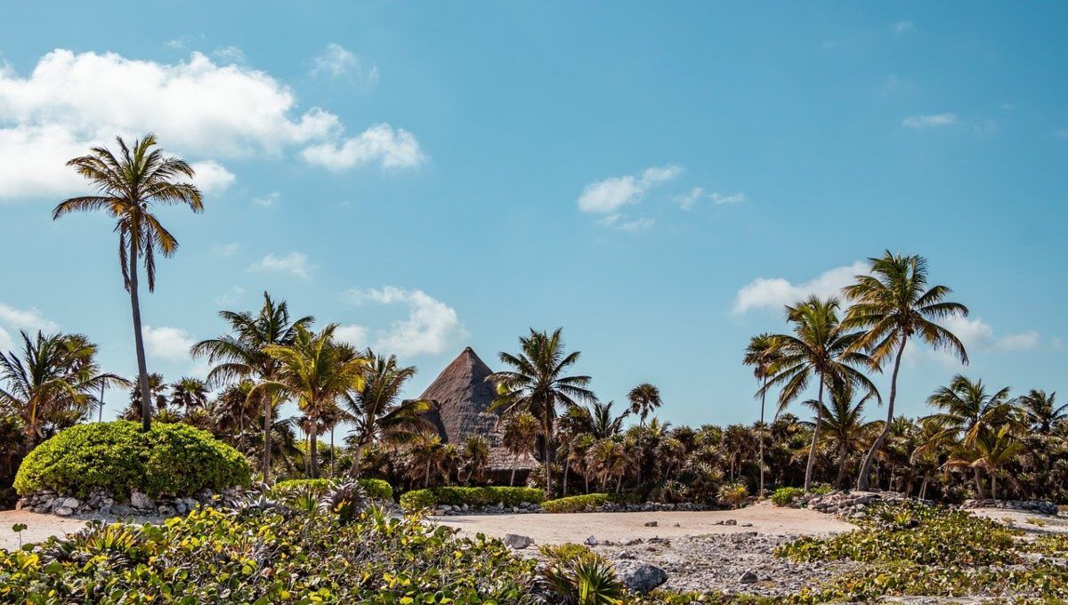 Sector inmobiliario en Riviera Maya con oportunidades de crecimiento en 2025