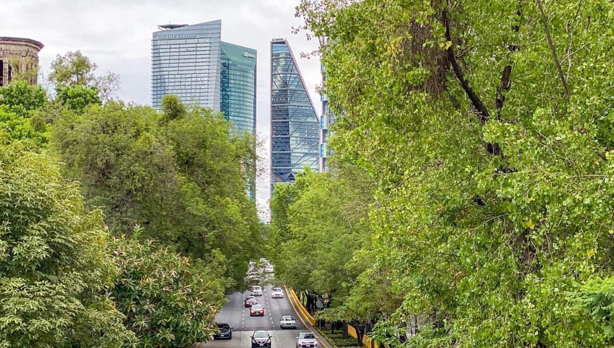 densificacion-urbana-1-alt