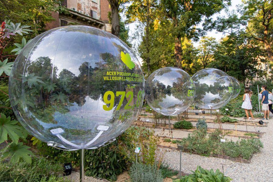 Bienal de Venecia-Fostering Care-alt