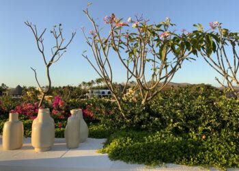 dia-arquitectura-de-paisaje-alt