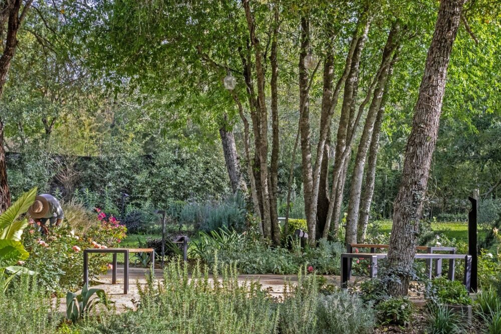 dia-arquitectura-de-paisaje-2