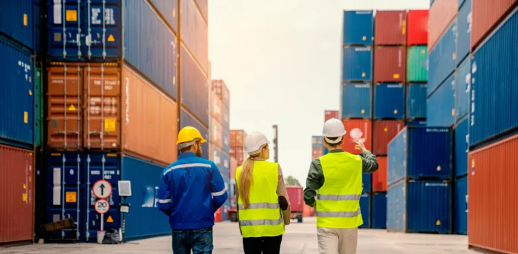 Pulsómetro Logístico 2025-3