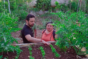 comunidad regenerativa-2