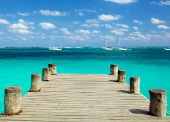 comunidad regenerativa-alt