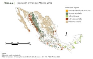 Mapa de México que ilustra los principales tipos de vegetación en 2011: bosque mesófilo de montaña, bosque templado, selva húmeda, selva subhúmeda y matorral xerófilo. Estas regiones destacan por su relevancia estratégica tanto en la preservación ambiental como en el desarrollo inmobiliario premium, al ofrecer entornos naturales exclusivos y oportunidades únicas para inversiones sostenibles orientadas a clientes exigentes que valoran privacidad, bienestar y plusvalía a largo plazo.