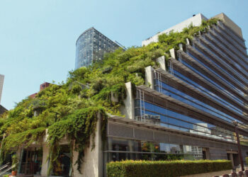 Fundación Graham-alt