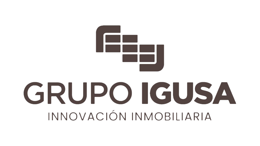 Grupo Igusa