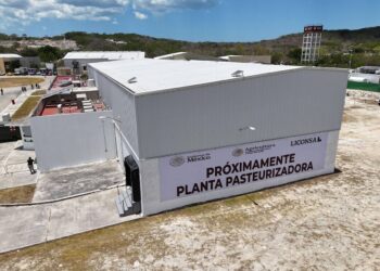 plantas de leche-alt