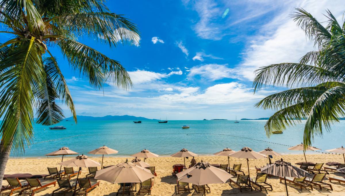 zonas-playa-4s-real-estat-alt (1)