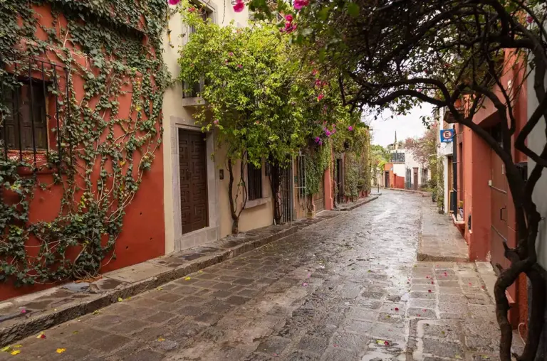 Bienal de Arquitectura Chiapas-2