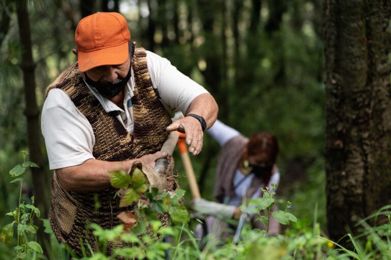 Cortesía PNLC ADVC C