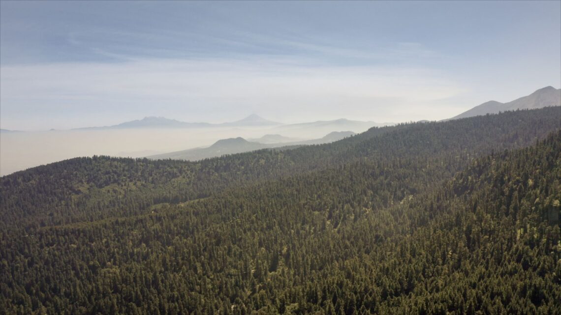 parque-natural-la-canada-alt