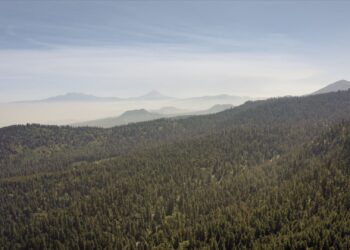 parque-natural-la-canada-alt