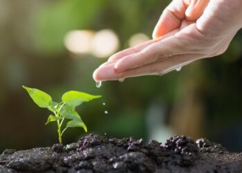 Compromiso ambiental: AMEFIBRA contribuye a la restauración del río La Silla en Monterrey