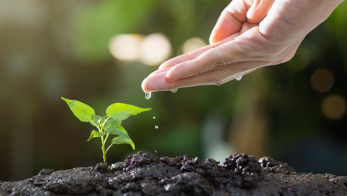 Compromiso ambiental: AMEFIBRA contribuye a la restauración del río La Silla en Monterrey