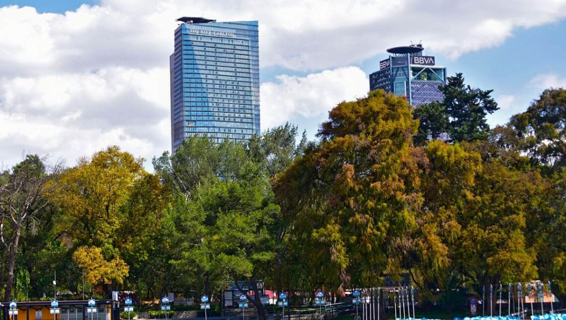 mercado-oficinas-cdmx-grupo-frel-alt