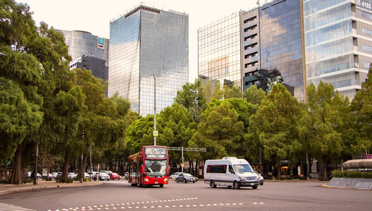 Mercado de oficinas en CDMX está en fase de recuperación sostenida: Grupo FREL