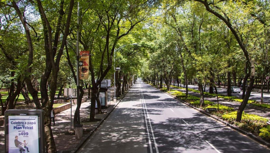 rentar-departamentos-cerca-parques-cdmx-alt