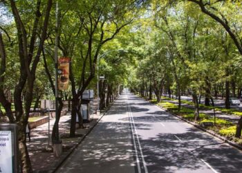 rentar-departamentos-cerca-parques-cdmx-alt