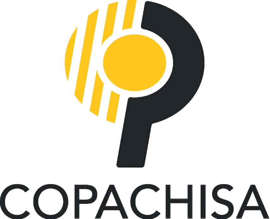 Copachisa
