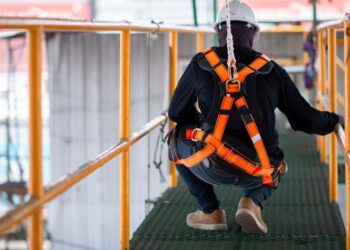 seguridad-alt