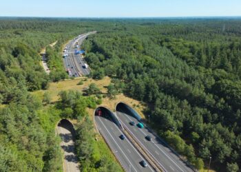 ecología-de-carreteras-alt