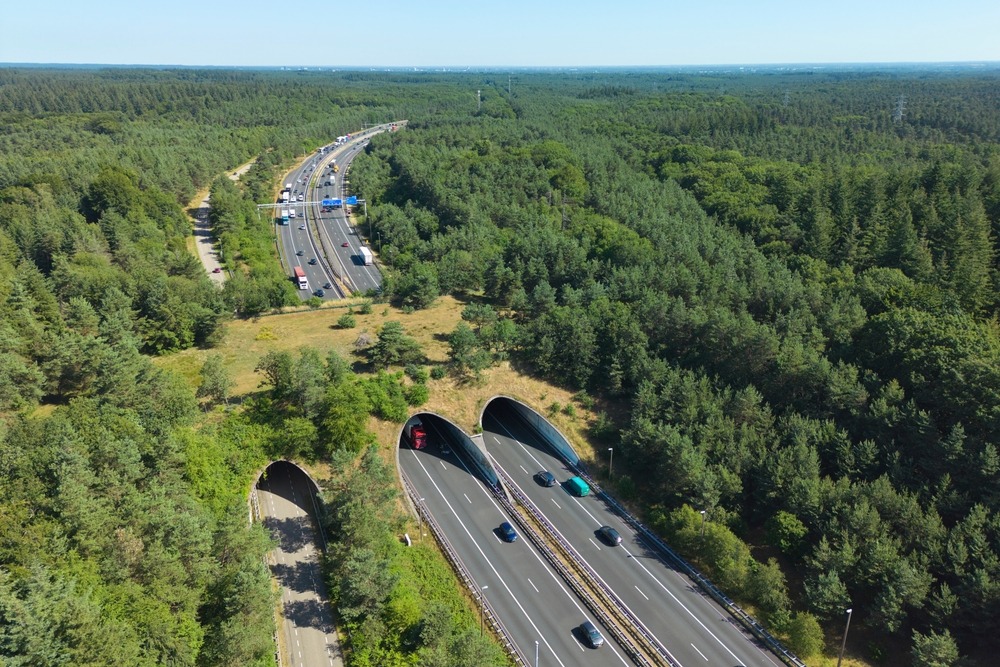 ecología-de-carreteras-alt