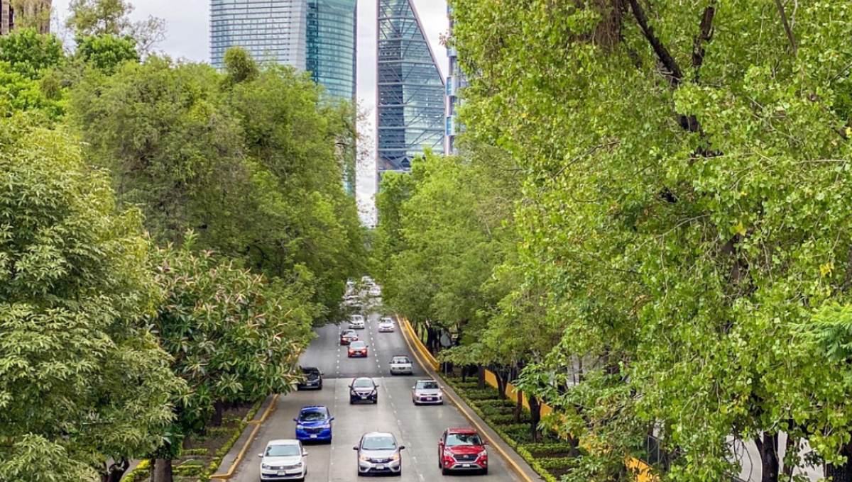 movilidad-factor-economico-mercado-oficinas-cdmx-monterrey-alt